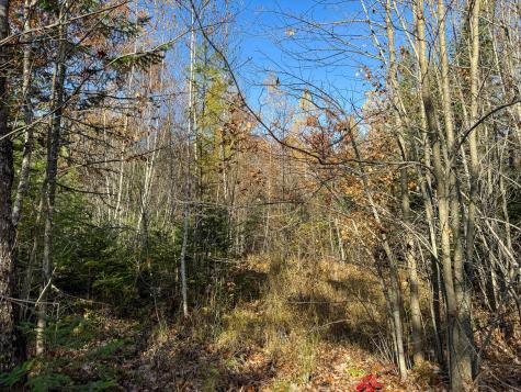 M3l24 & 26 Route 2 Passadumkeag ME 04475