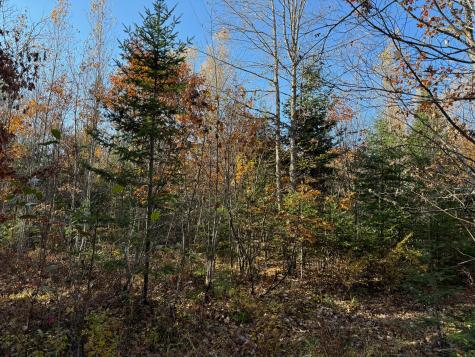 M3l24 & 26 Route 2 Passadumkeag ME 04475