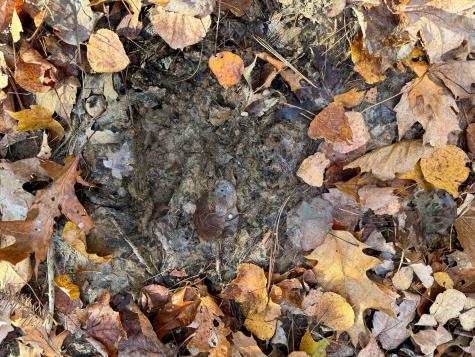 M3l24 & 26 Route 2 Passadumkeag ME 04475