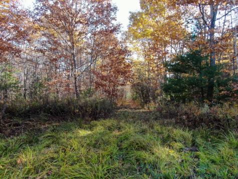 M3l24 & 26 Route 2 Passadumkeag ME 04475