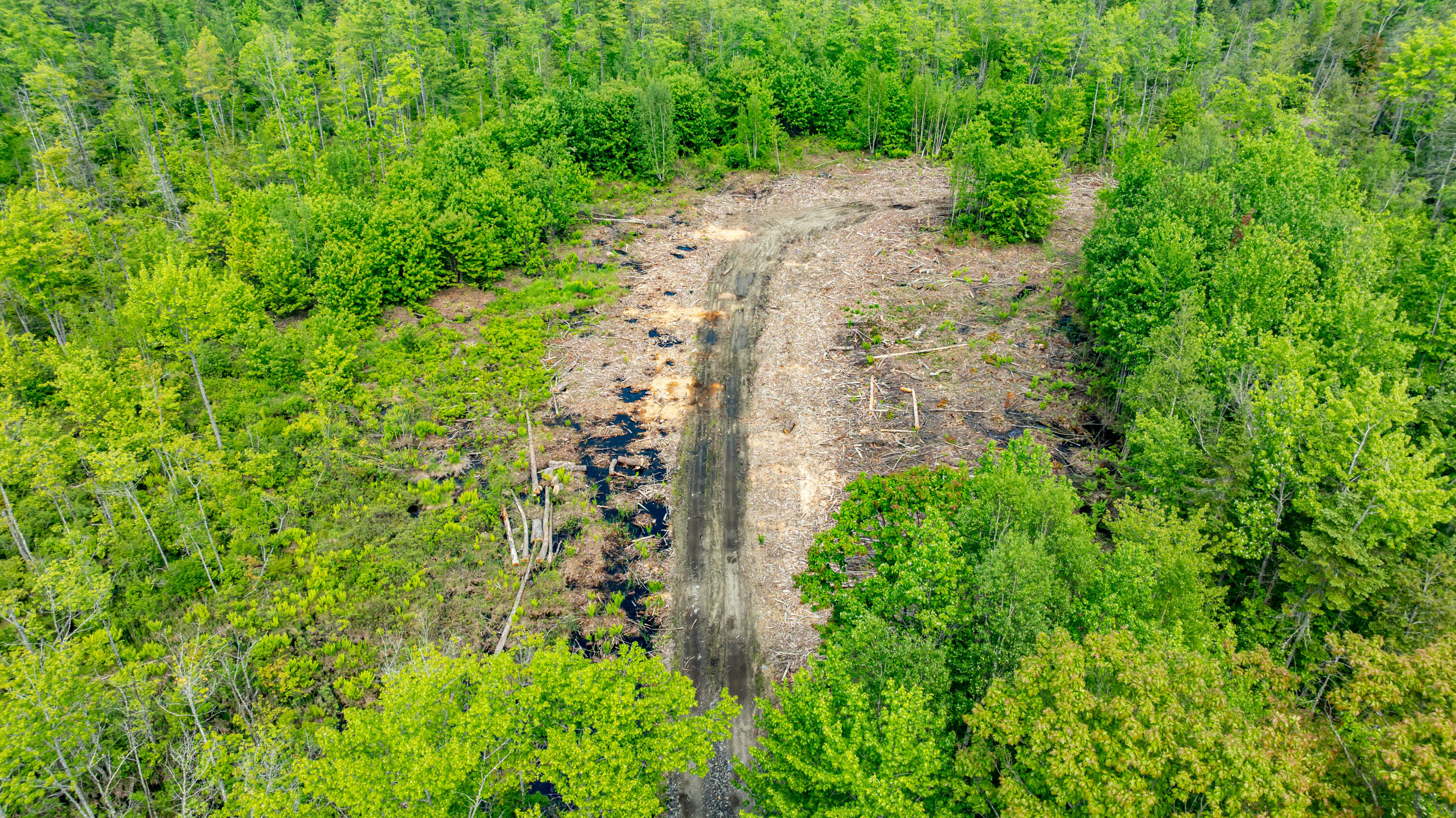 1-14-12 Main Road Greenbush ME 04418