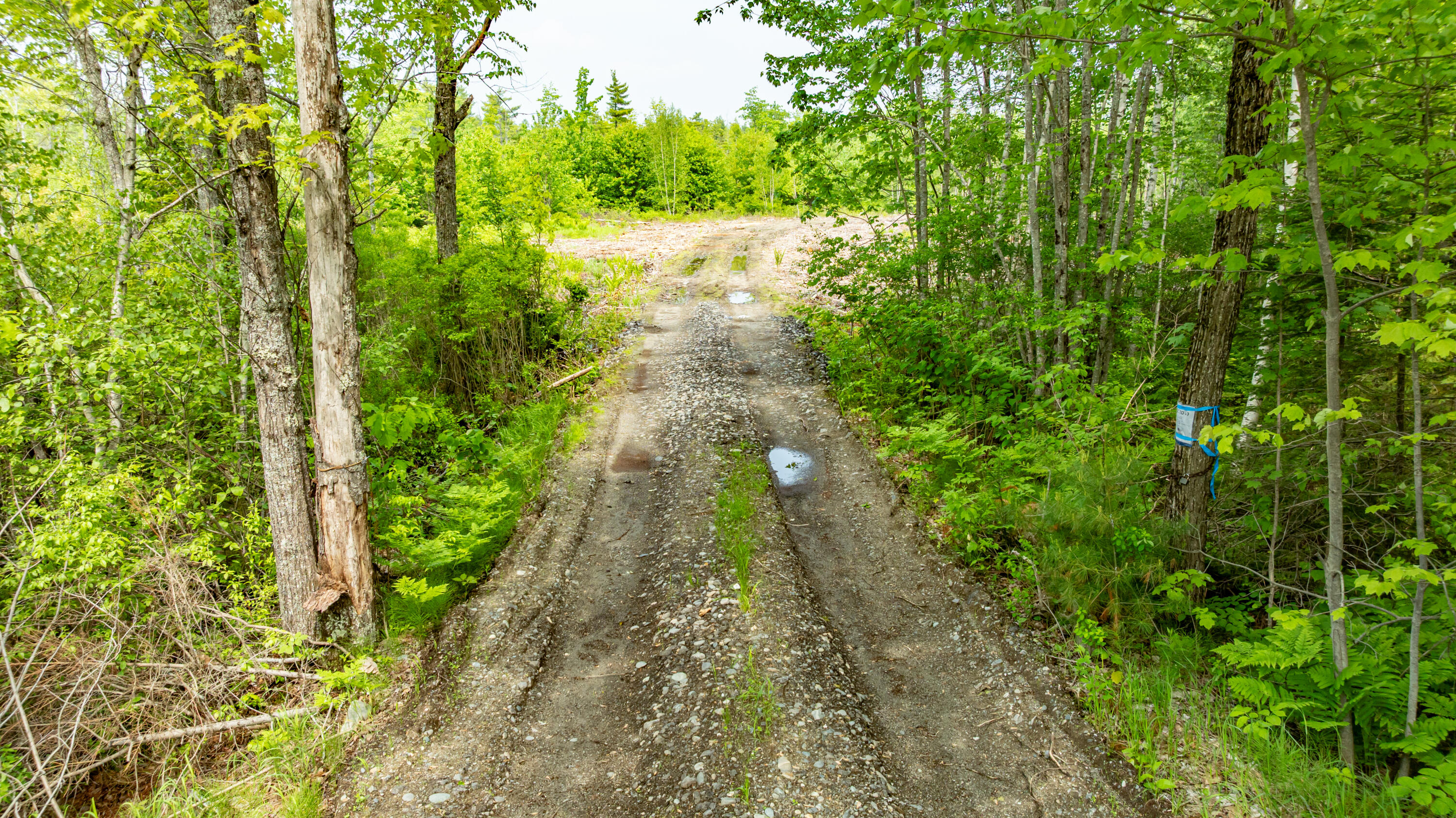 1-14-12 Main Road Greenbush ME 04418