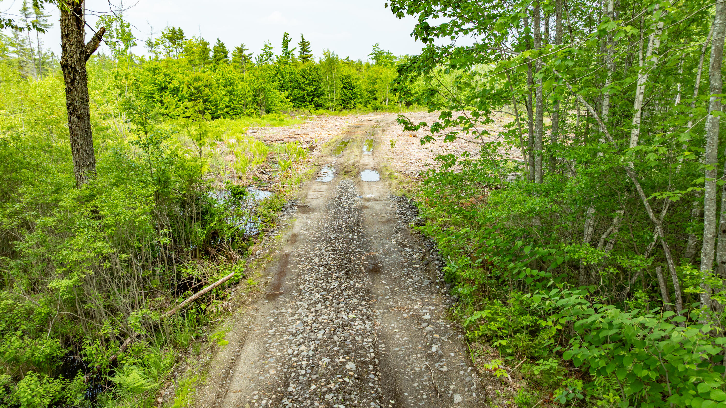 1-14-12 Main Road Greenbush ME 04418