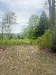 Lot 9 Mcdaniels Road Waterford ME 04088
