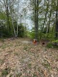 Lot 9 Mcdaniels Road Waterford ME 04088