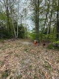 Lot 9 Mcdaniels Road Waterford ME 04088