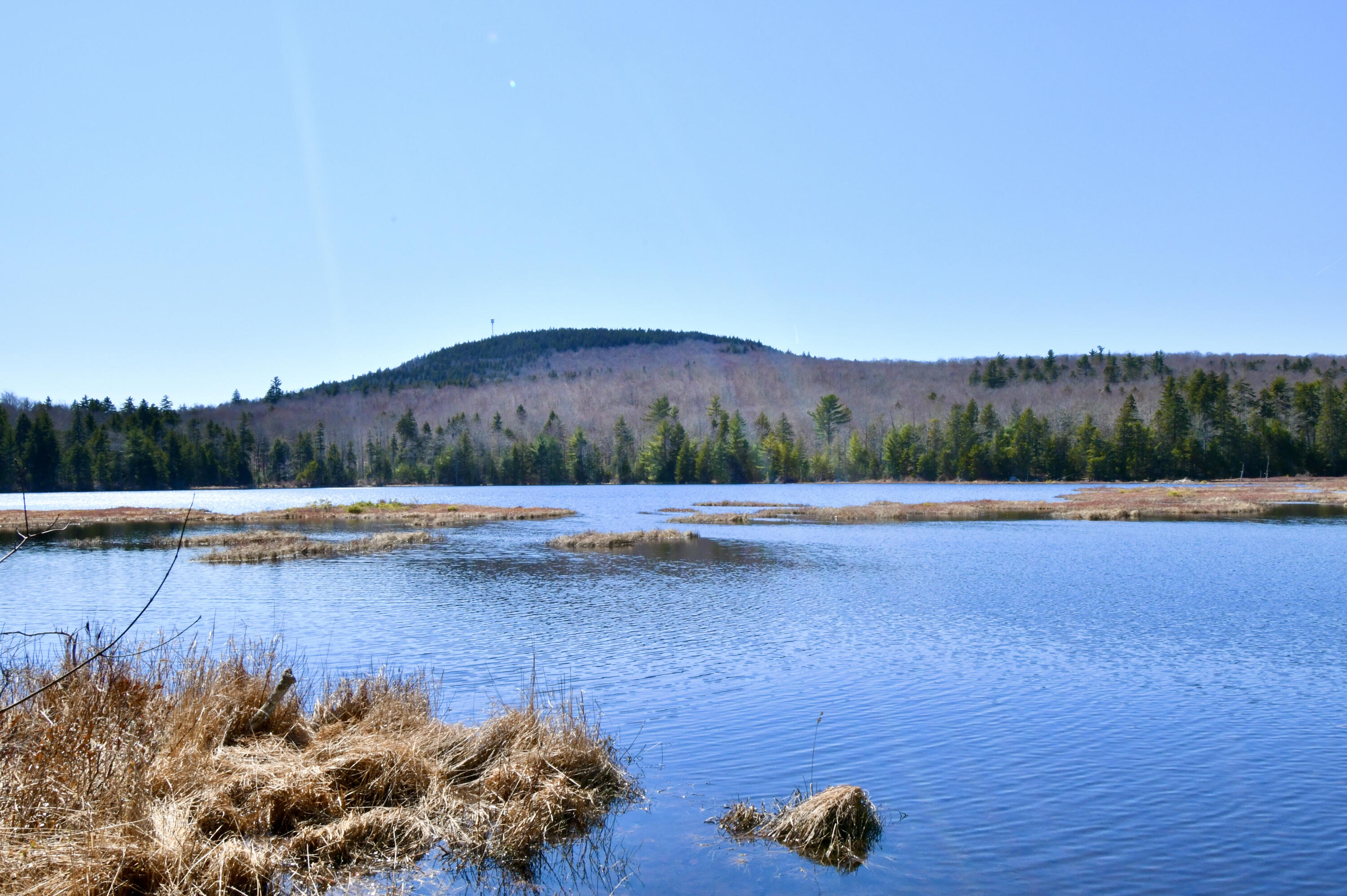 Lots 4 & 5 Sunrise Lane Blue Hill, ME