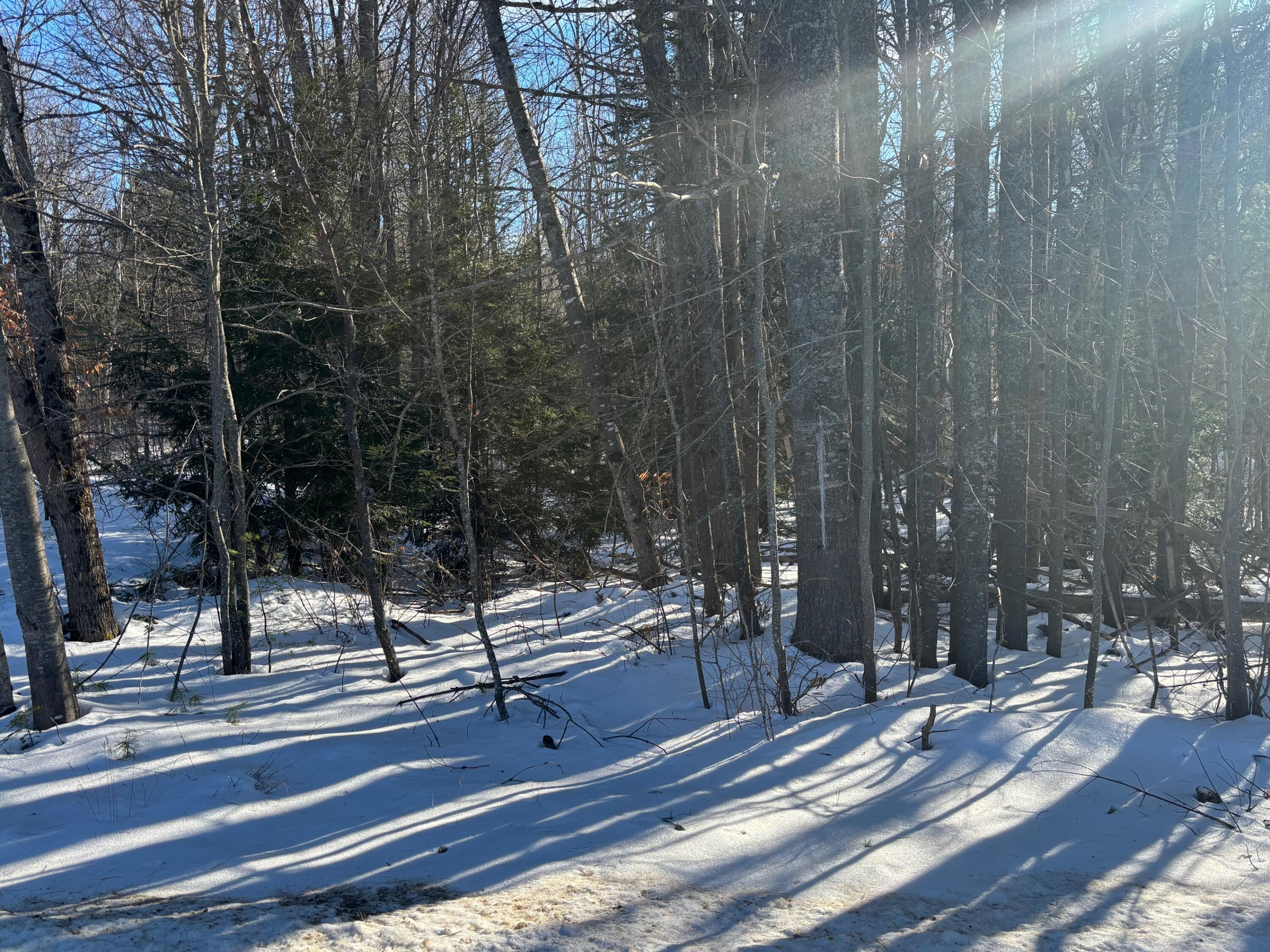 Lot 15-023 Intervale Road Bethel ME 04217