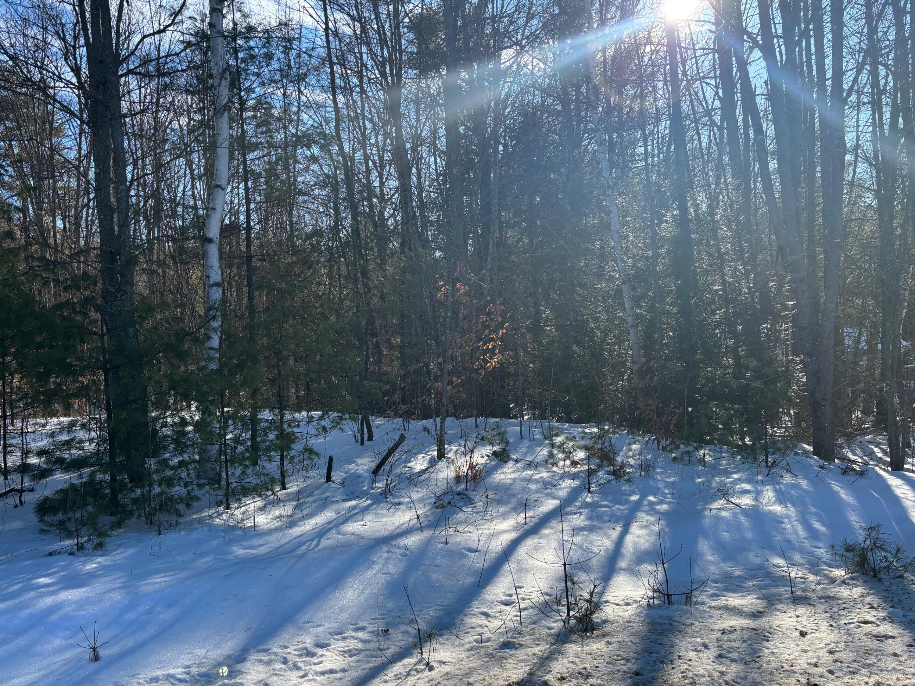 Lot 15-023 Intervale Road Bethel ME 04217