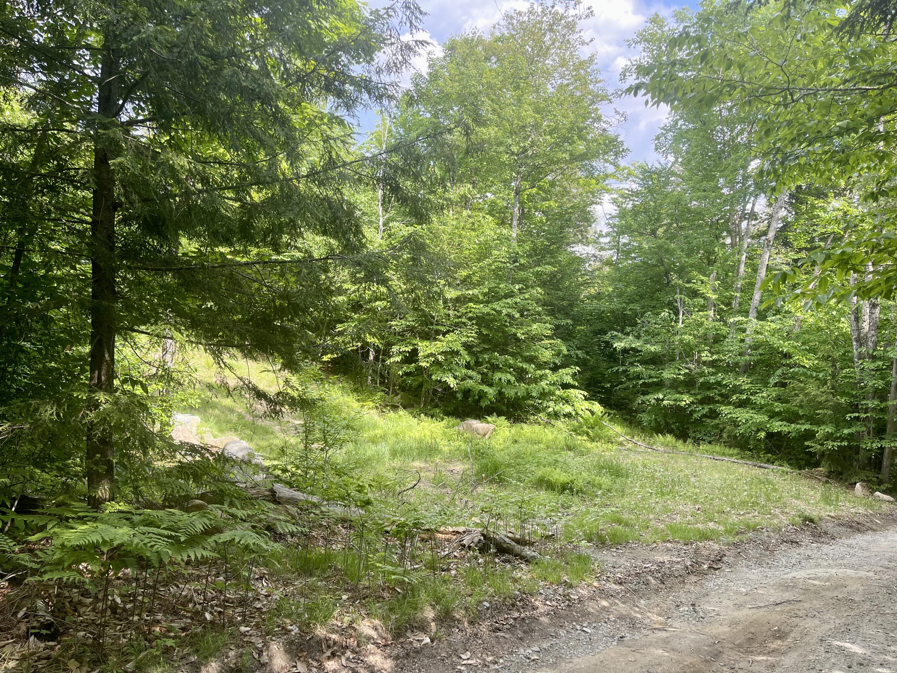 Lot 15a-1 Scammon Road Greenville ME 04441