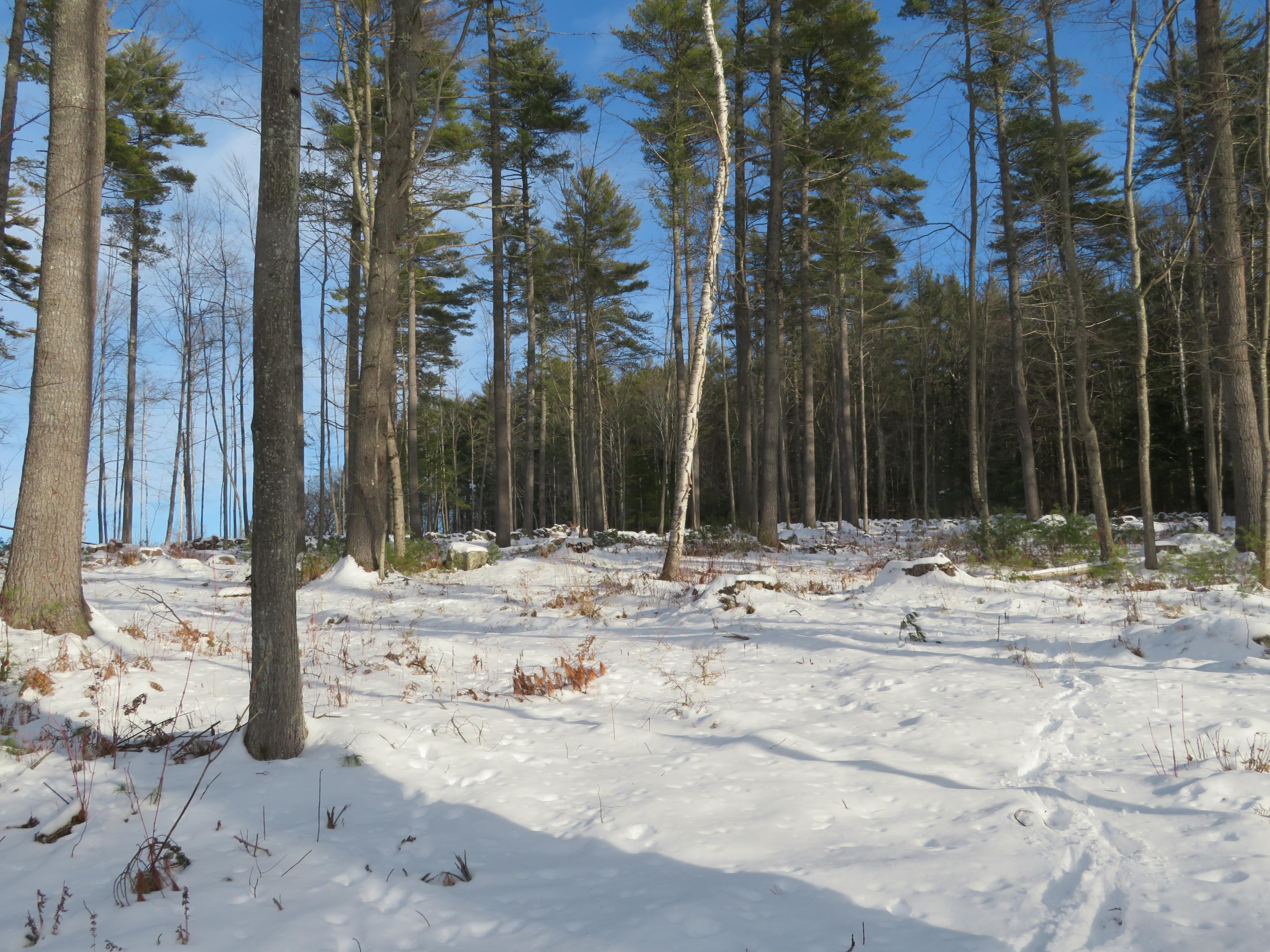 Lot E Twilight View Road Bridgton Maine Real Estate Listing MLS 1479335