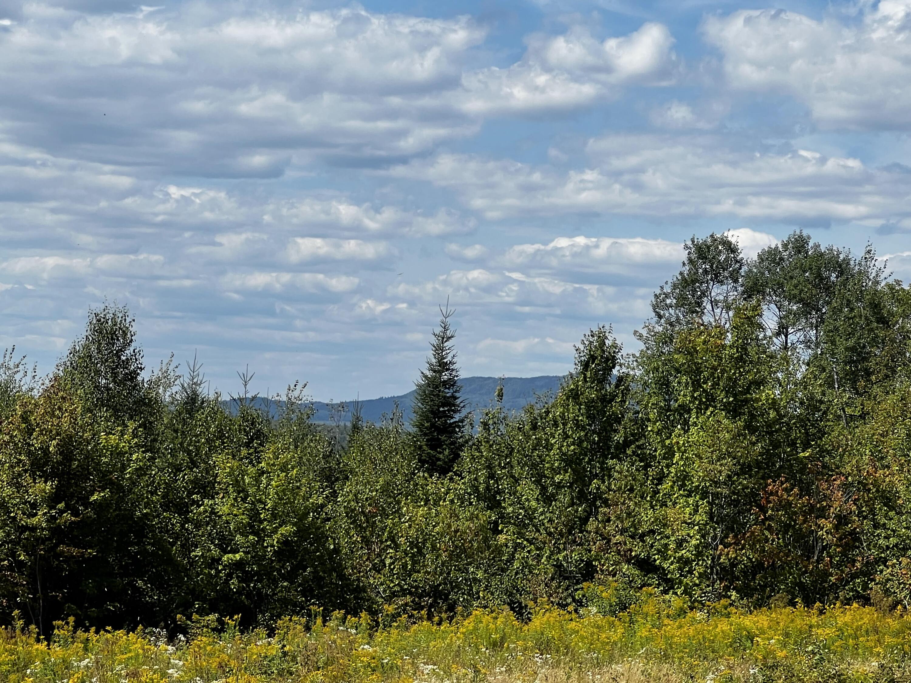 Lot 5-5&4 Bushey Road Greenville ME 04441