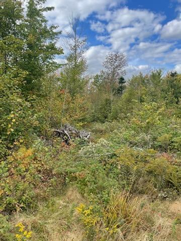 439 Farmers Hill Road Andover ME 04216