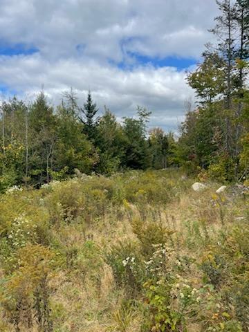 439 Farmers Hill Road Andover ME 04216