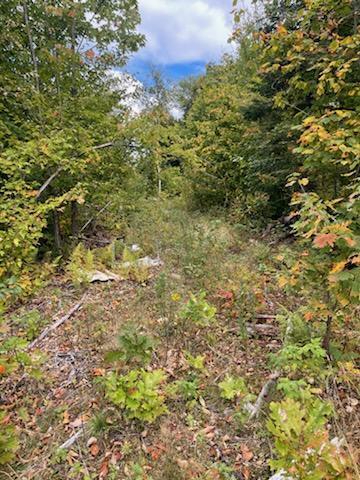 439 Farmers Hill Road Andover ME 04216