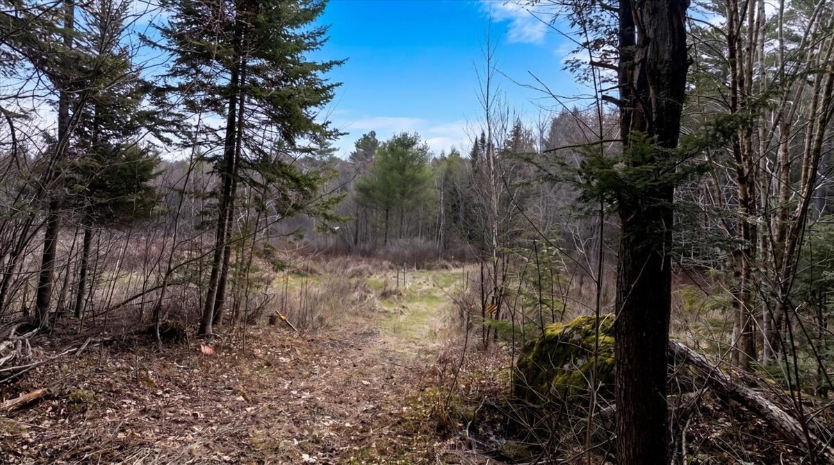 28 Trinity Way Monmouth ME 04259
