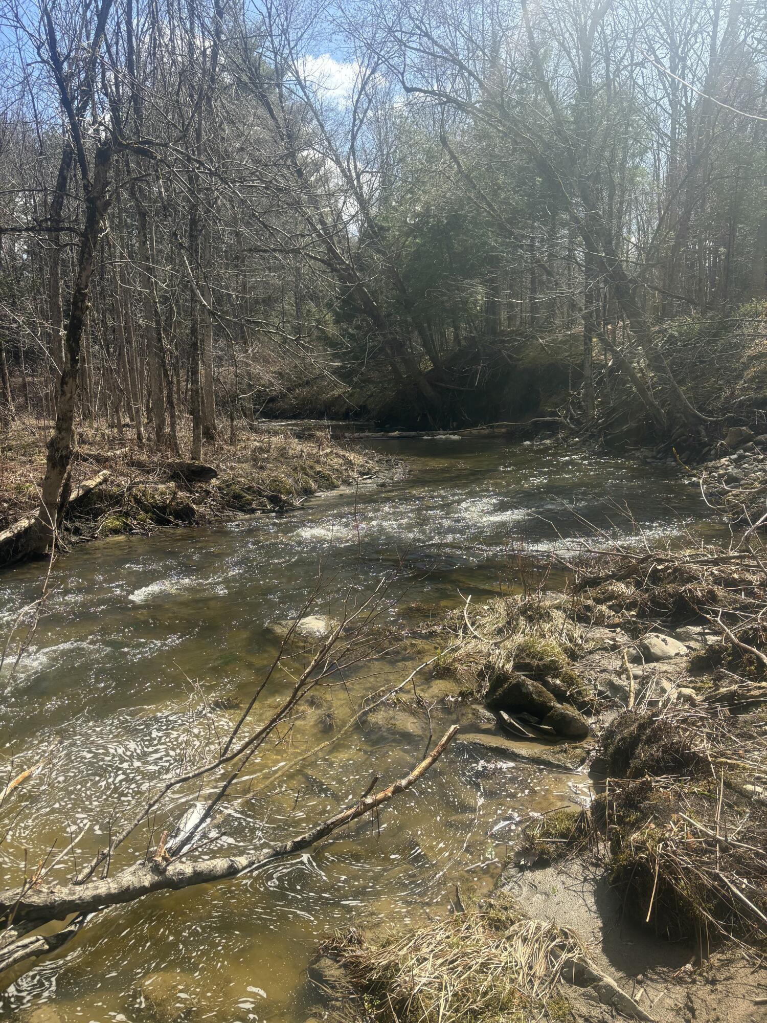 Lot#11 1-1 Route 43 Route Starks ME 04911