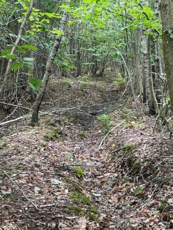 Lot 18-1 North Road Medford ME 04463