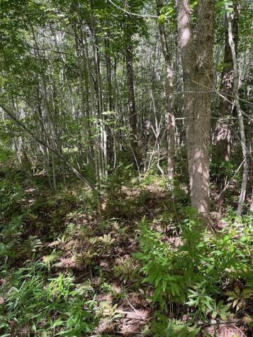 Lot 18-1 North Road Medford ME 04463