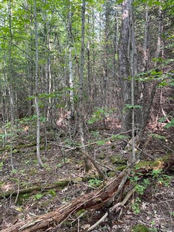 Lot 18-1 North Road Medford ME 04463