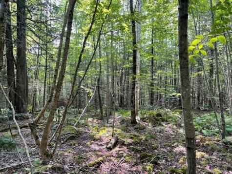 Lot 18-1 North Road Medford ME 04463