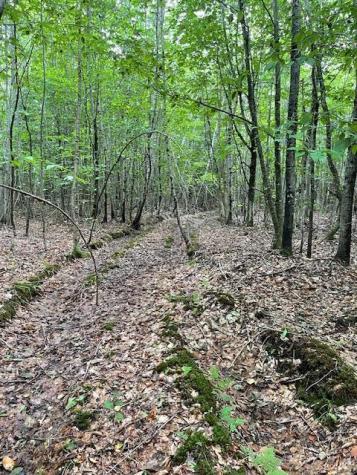Lot 18-1 North Road Medford ME 04463