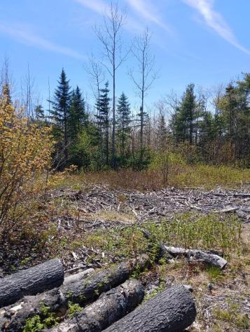 40 A Eleanor Mae Road Deblois ME 04622