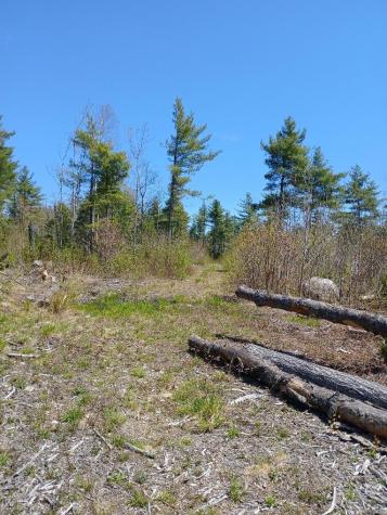 40 A Eleanor Mae Road Deblois ME 04622