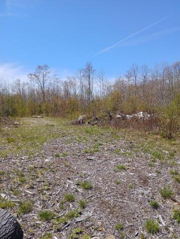 40 A Eleanor Mae Road Deblois ME 04622