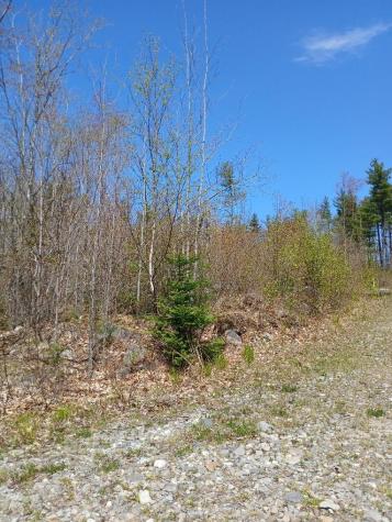 40 A Eleanor Mae Road Deblois ME 04622