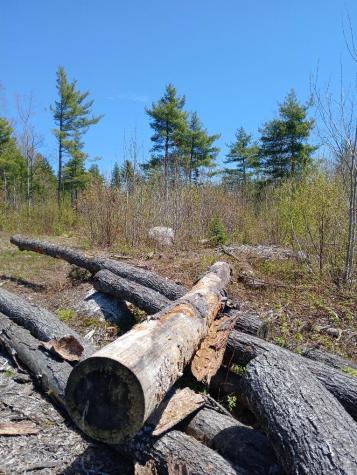 40 A Eleanor Mae Road Deblois ME 04622