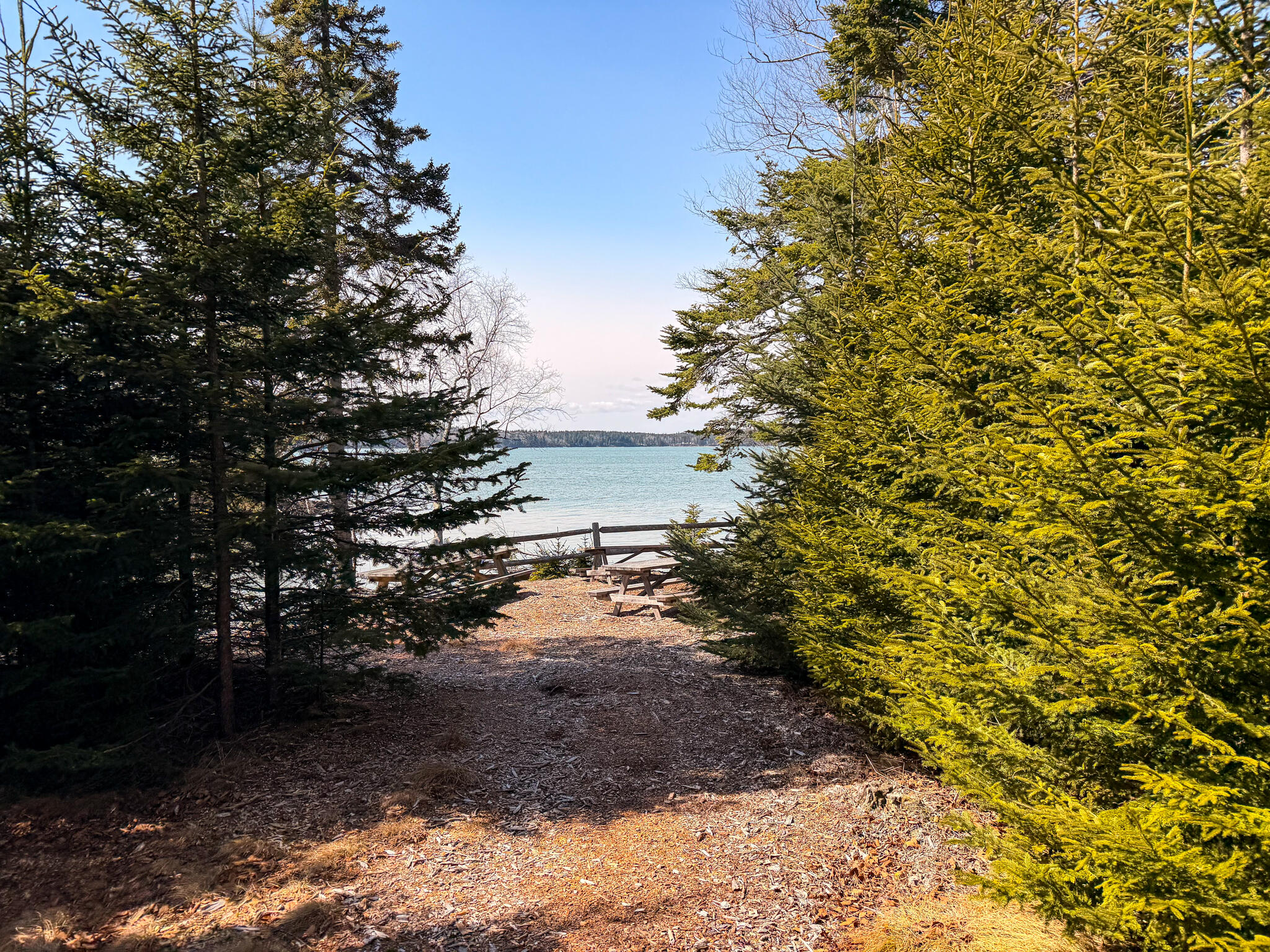 Lot 55a/72 Yoho Head Road Machiasport ME 04655