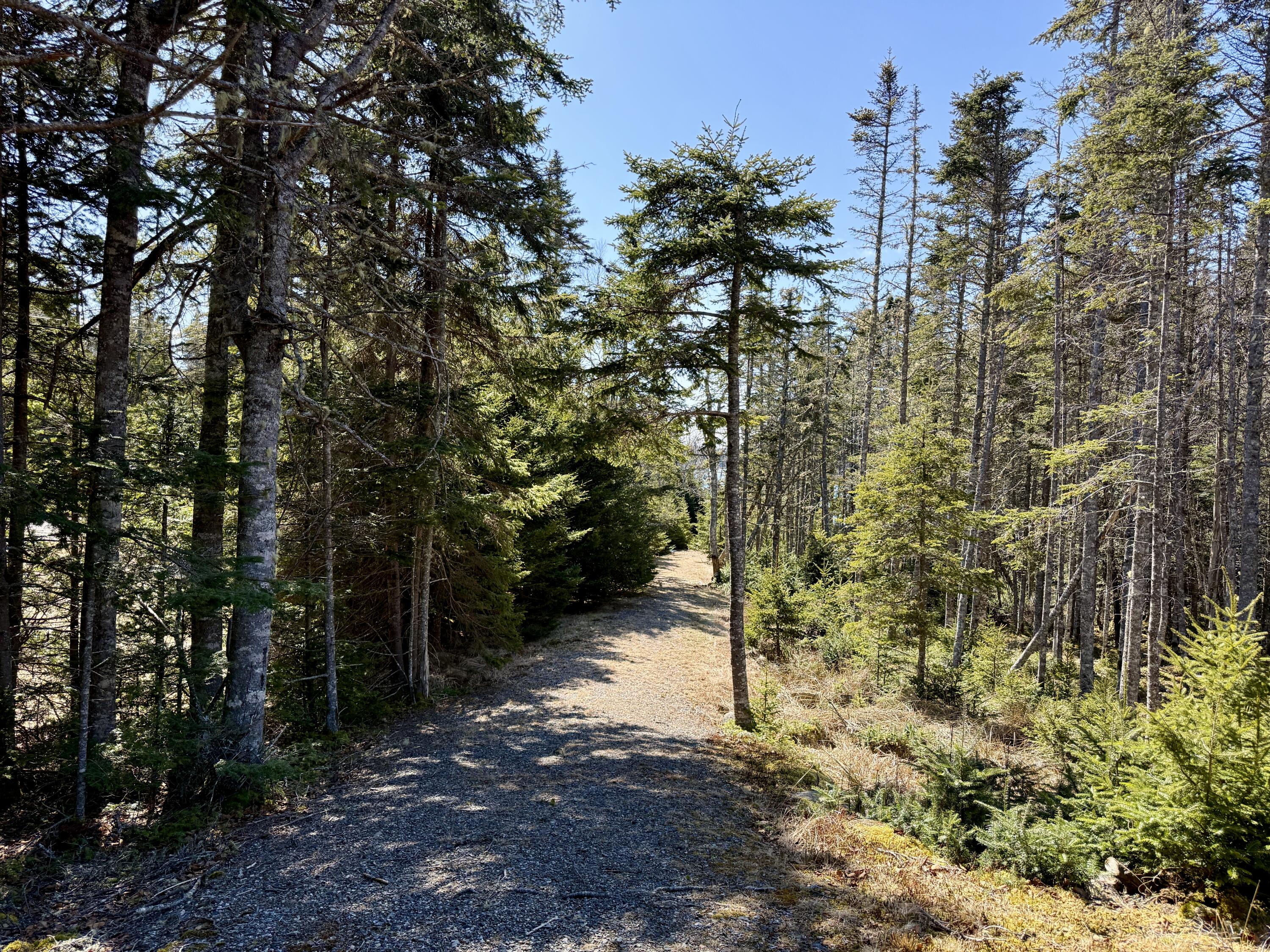 Lot 55a/72 Yoho Head Road Machiasport ME 04655