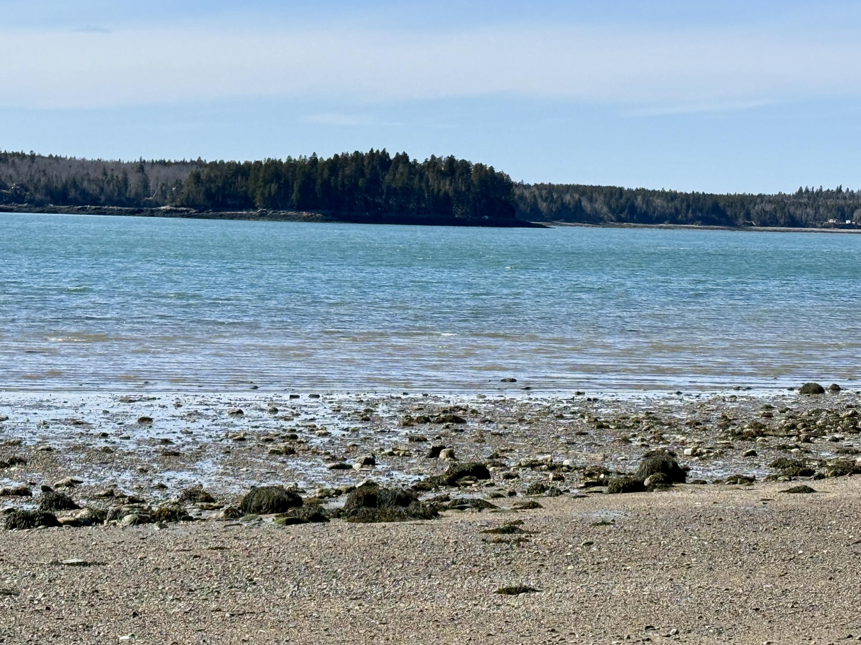 Lot 55a/72 Yoho Head Road Machiasport ME 04655
