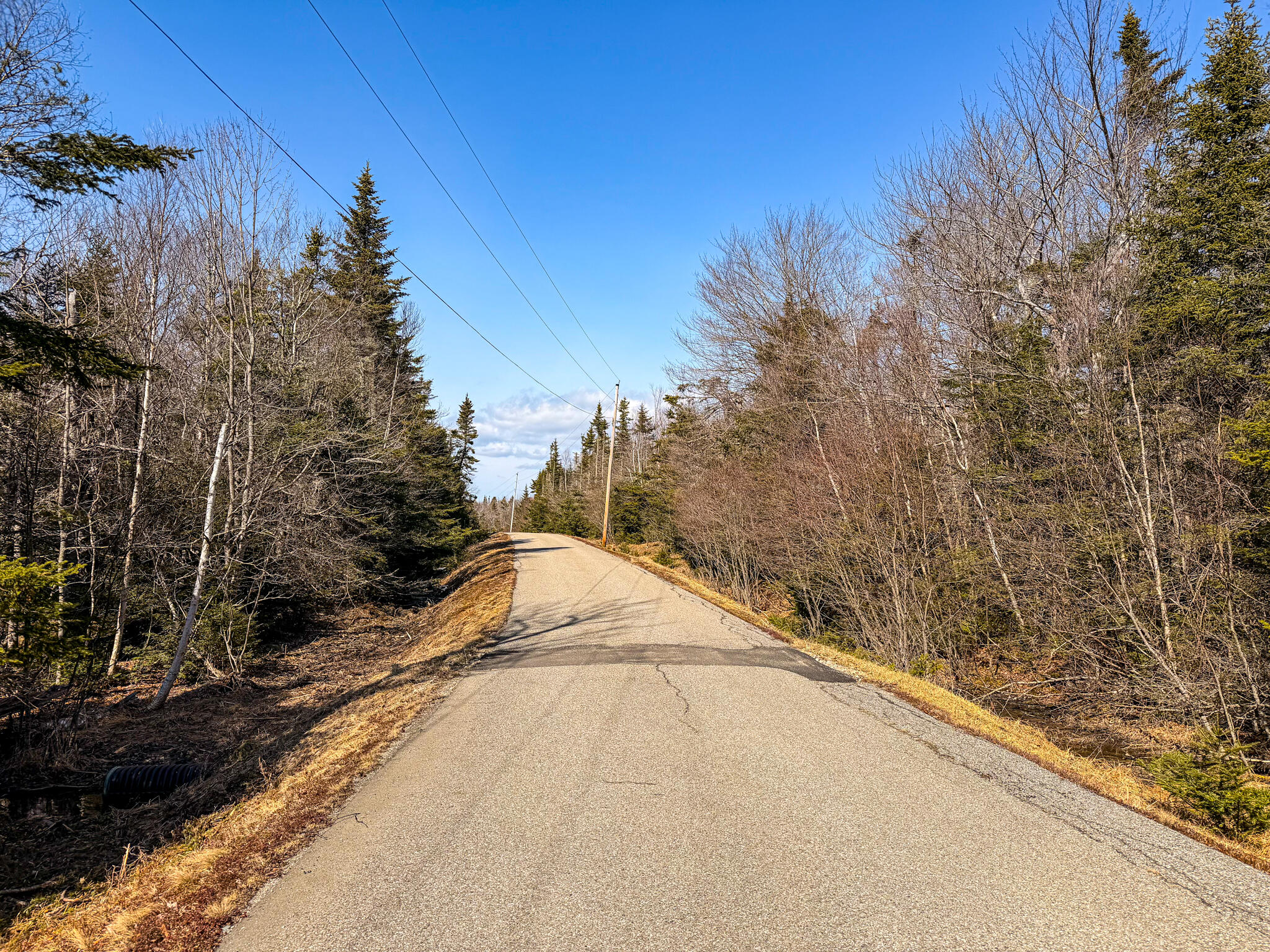 Lot 55a/72 Yoho Head Road Machiasport ME 04655