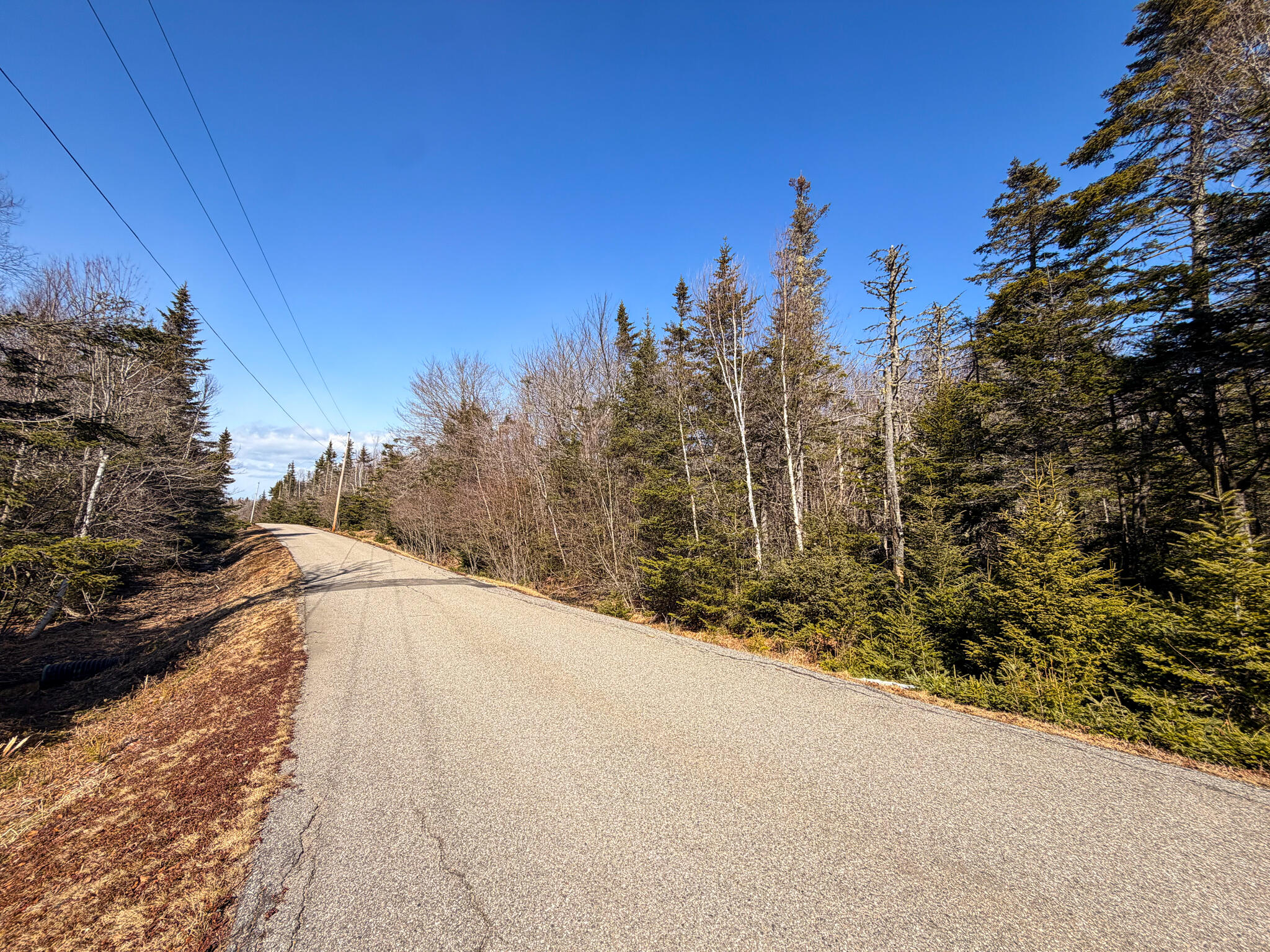 Lot 55a/72 Yoho Head Road Machiasport ME 04655