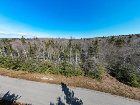 Lot 55a/72 Yoho Head Road Machiasport ME 04655