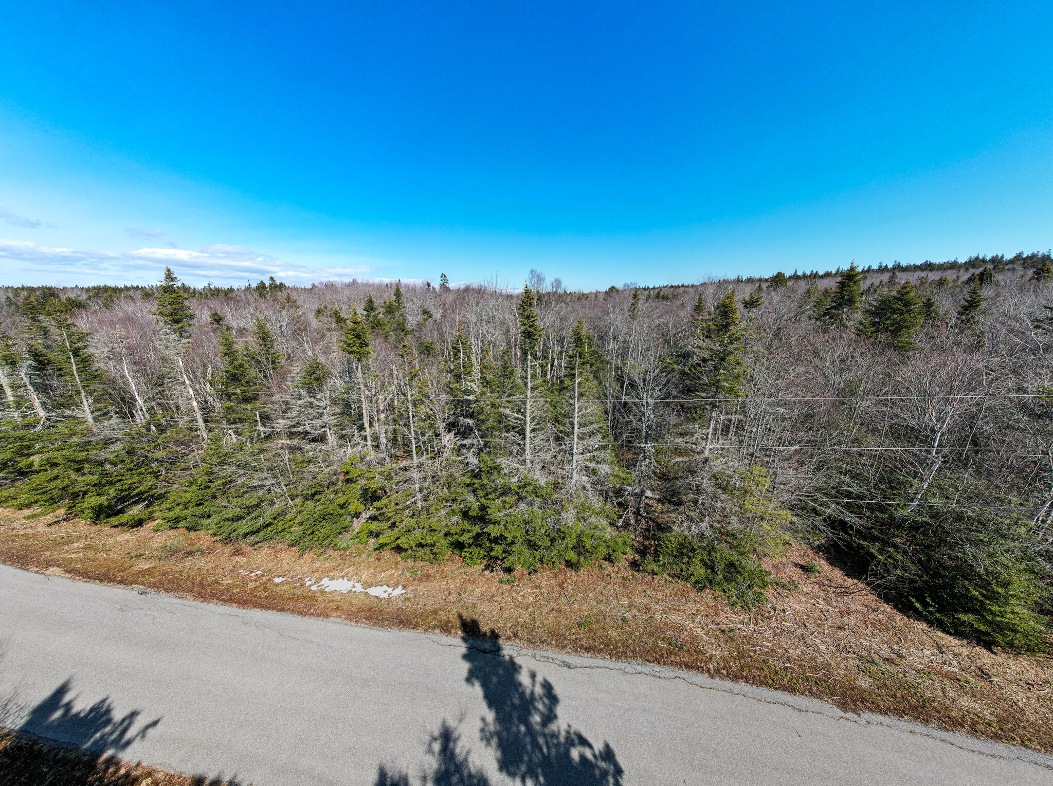 Lot 55a/72 Yoho Head Road Machiasport ME 04655