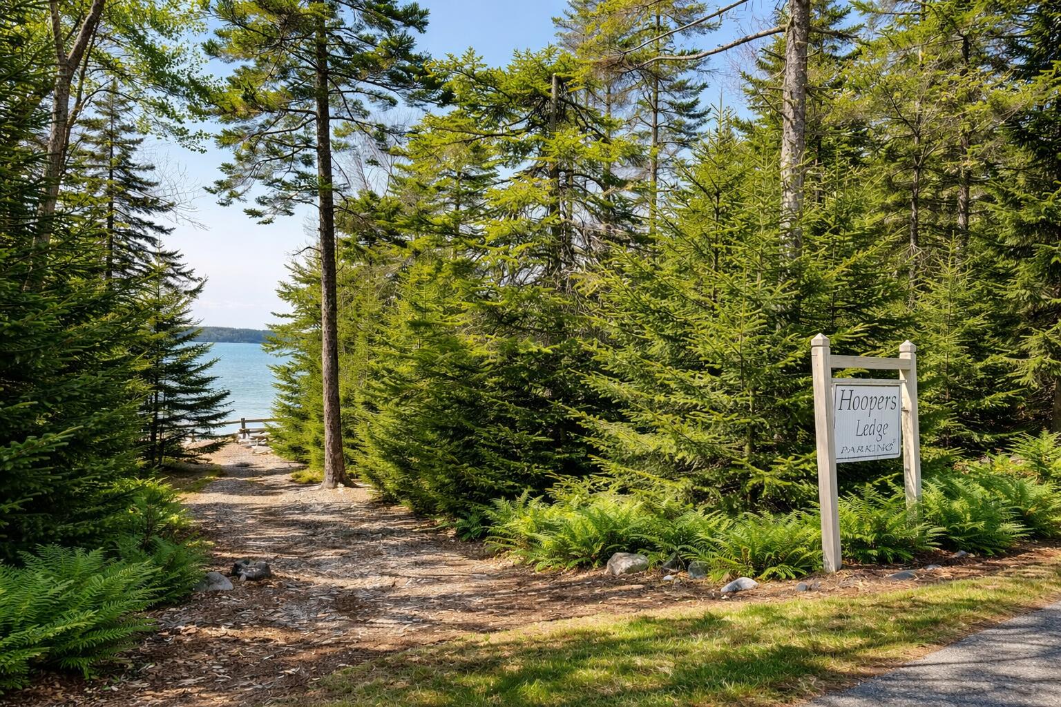 Lot 55a/72 Yoho Head Road Machiasport ME 04655