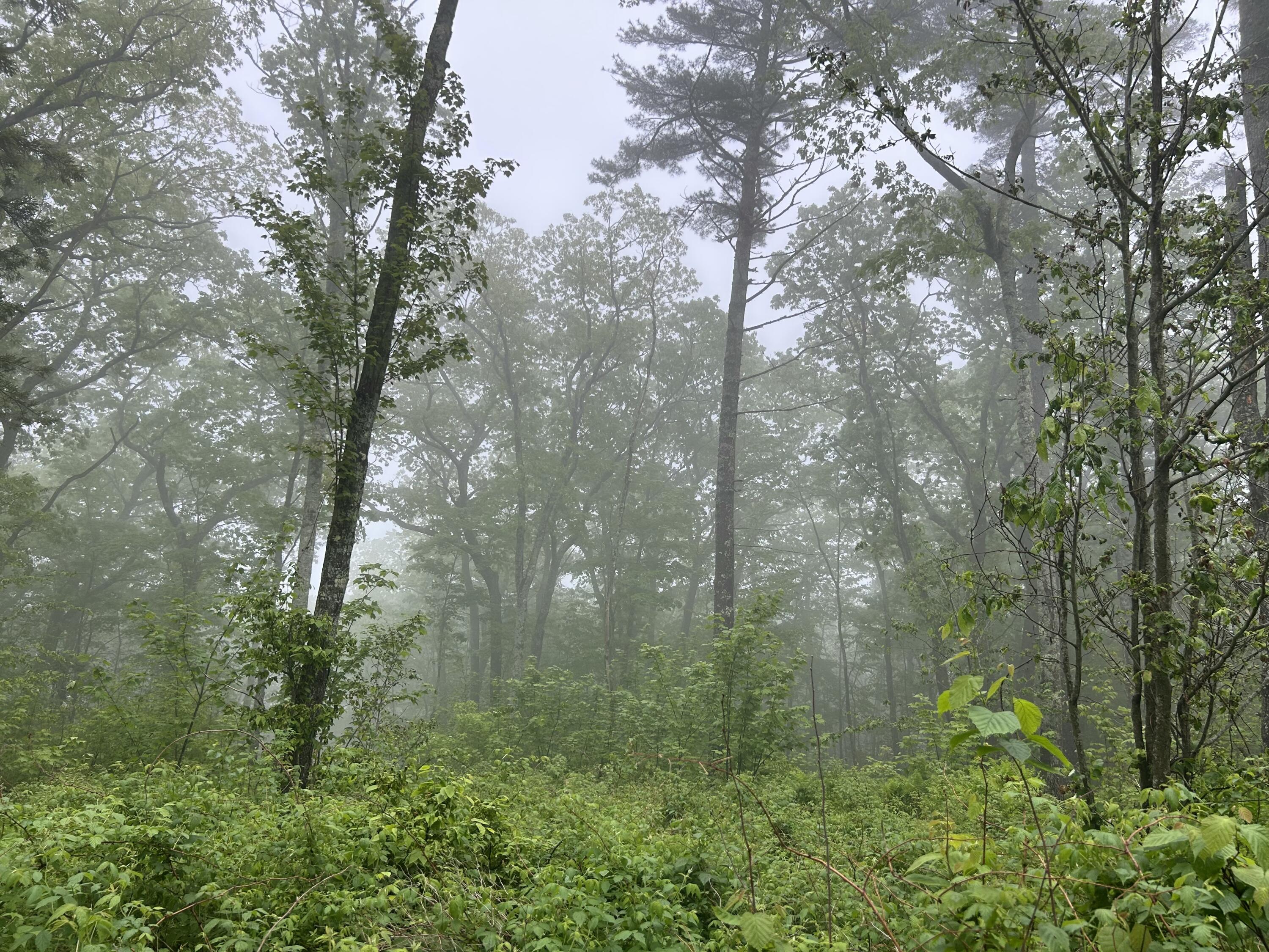 983 Barrett Hill Road Union ME 04862