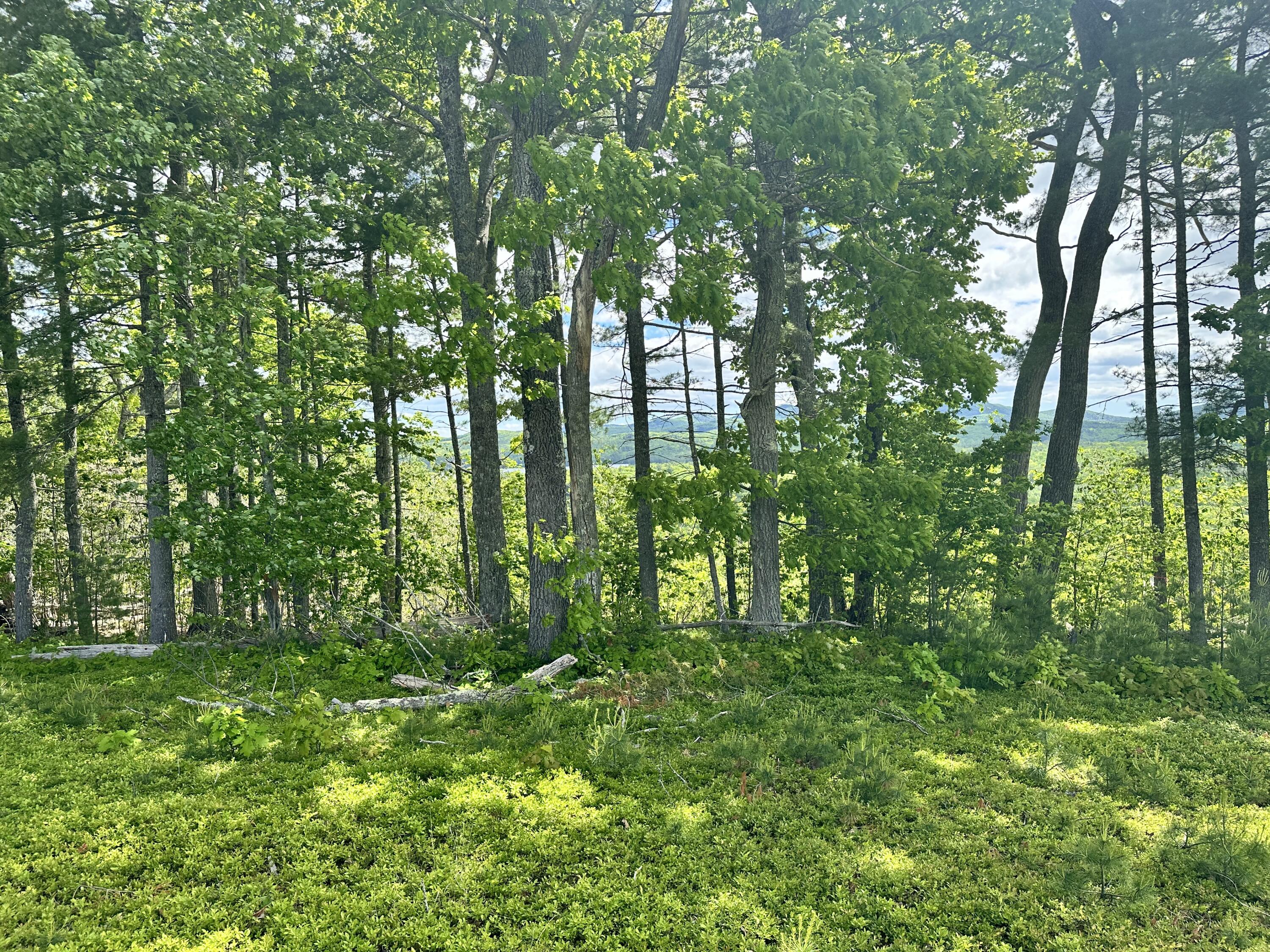 983 Barrett Hill Road Union ME 04862