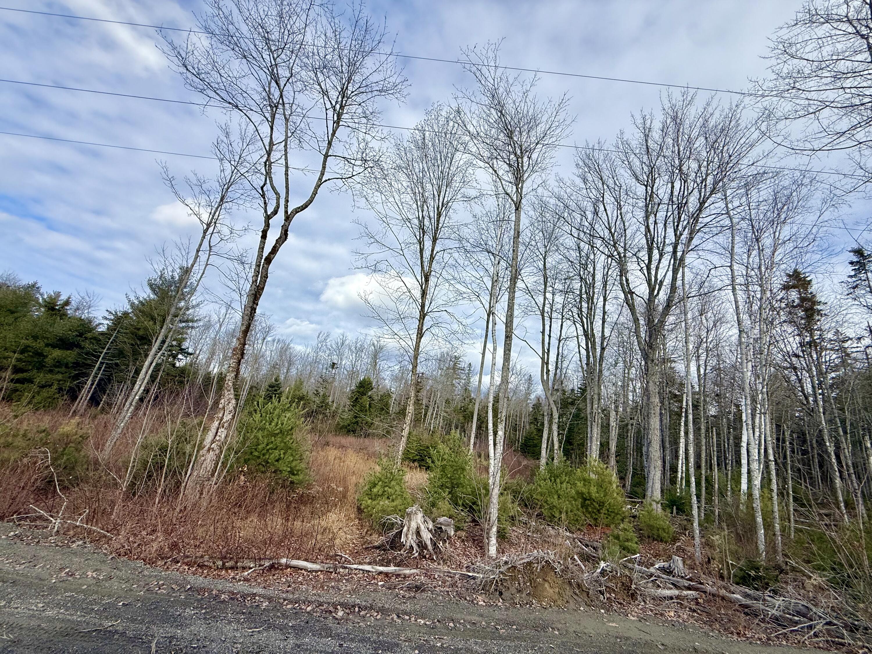 Lot 8 Sunset Hill Road Hancock ME 04640