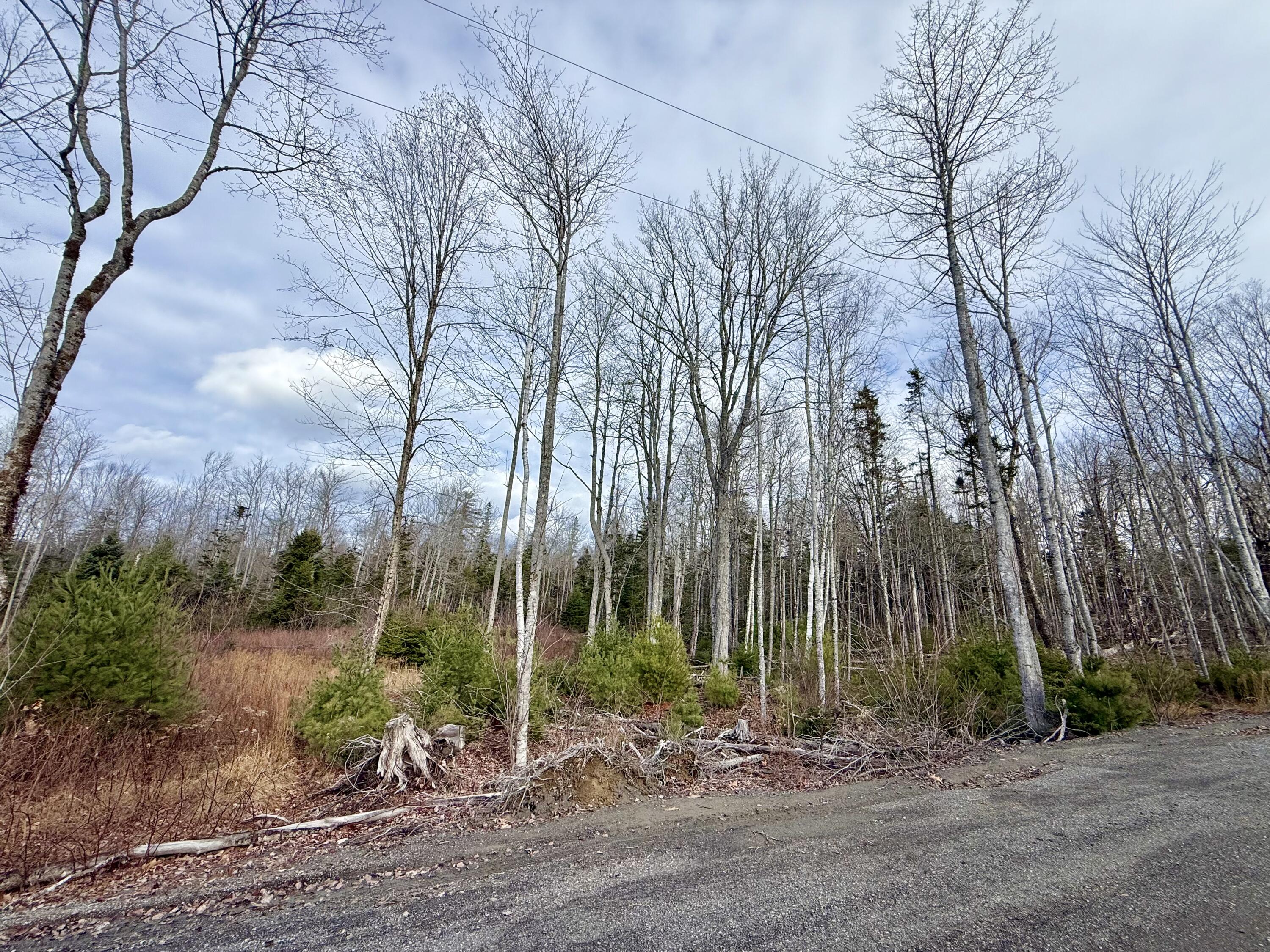 Lot 8 Sunset Hill Road Hancock ME 04640