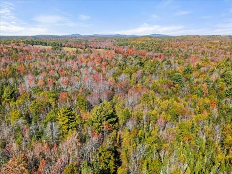 Lot #15 Toddy Pond Road Surry ME 04684