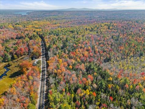 Lot #15 Toddy Pond Road Surry ME 04684