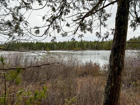 Lot 15 Long Lake Road Northfield ME 04654