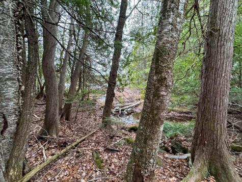 Lot 15 Long Lake Road Northfield ME 04654