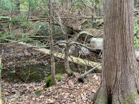 Lot 15 Long Lake Road Northfield ME 04654