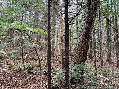 Lot 15 Long Lake Road Northfield ME 04654