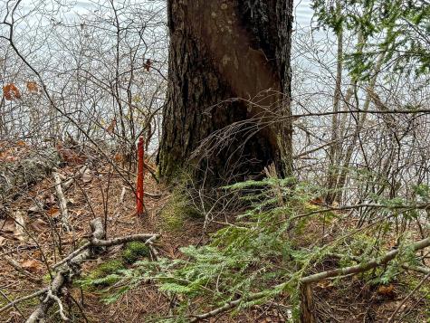 Lot 15 Long Lake Road Northfield ME 04654